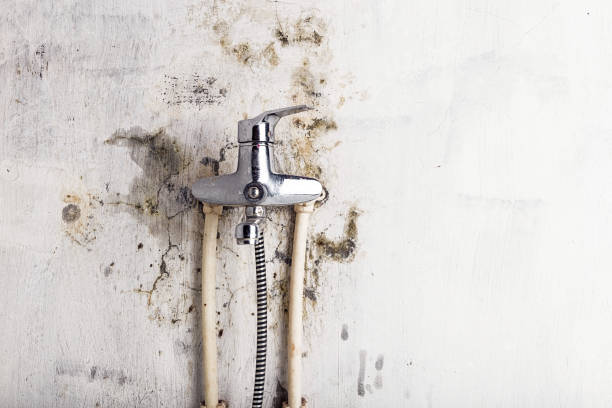 Best Mold Removal Near Me  in Harmony, RI