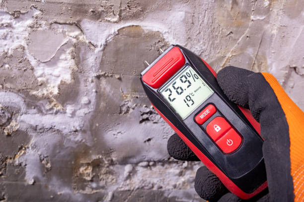 Best Mold Cleaning Services  in Harmony, RI