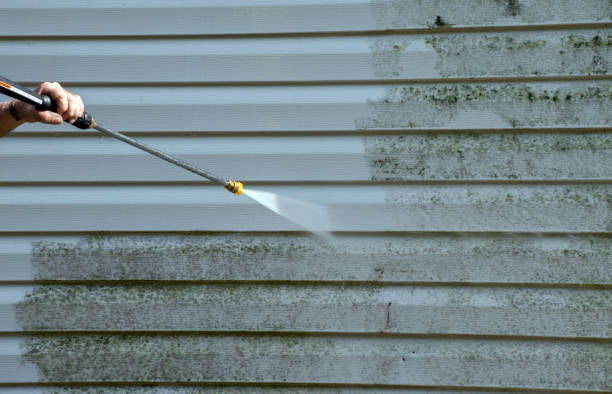 Best Attic Mold Removal  in Harmony, RI