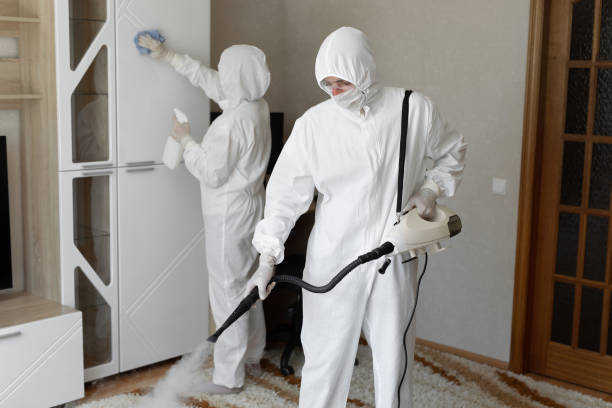 Best Fast Mold Removal  in Harmony, RI