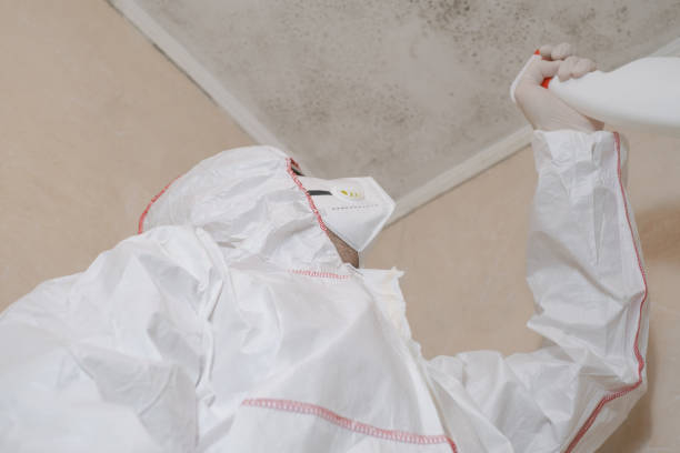 Best Mold Damage Repair  in Harmony, RI