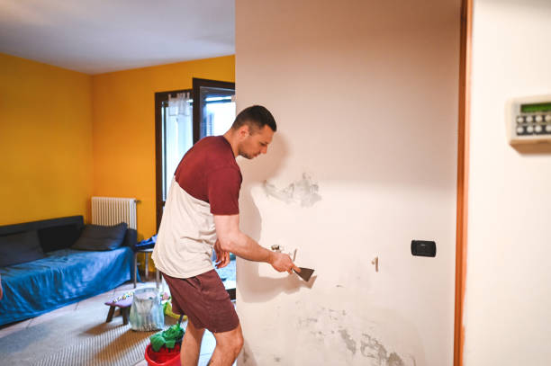 Best Residential Mold Removal  in Harmony, RI