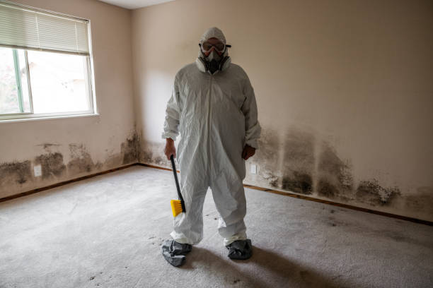 Best Certified Mold Removal  in Harmony, RI